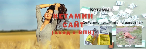 прущие грибы Нязепетровск