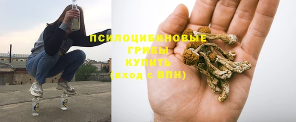 гашик Абаза