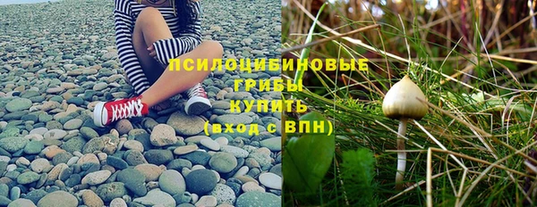 apvp Абинск