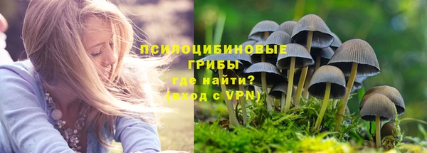 гашик Абаза