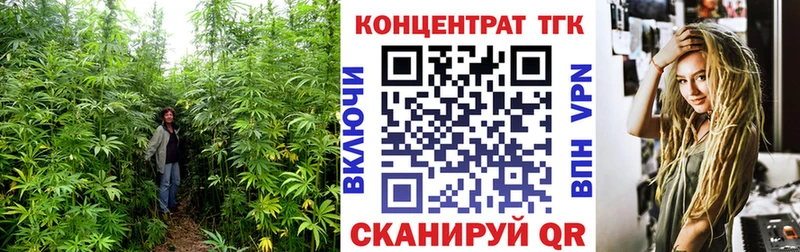 ТГК Wax  Владивосток 