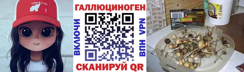 Псилоцибиновые грибы ЛСД  omg ТОР  Владивосток  наркотики 