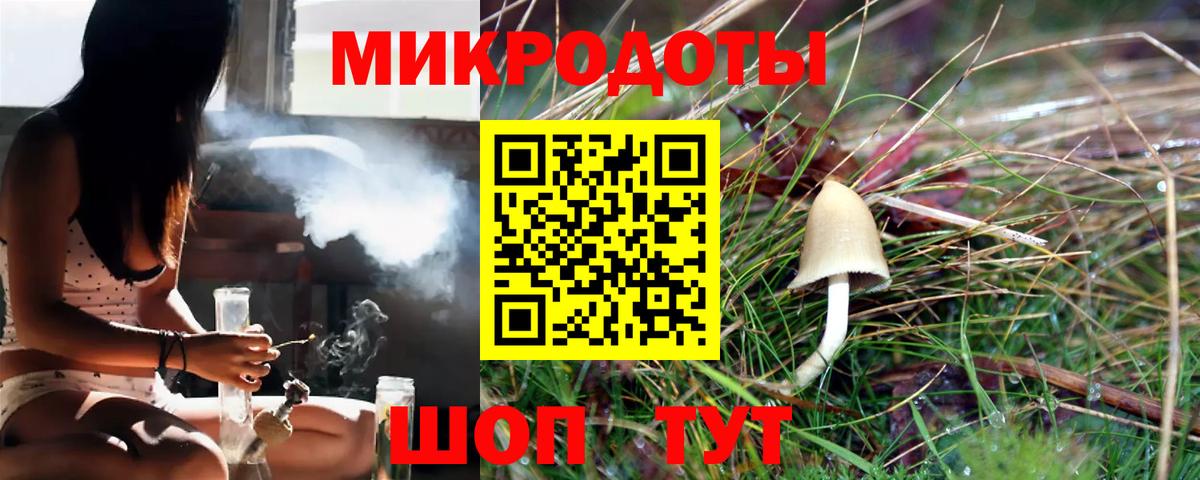 Псилоцибиновые грибы Psilocybe Владивосток